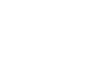 F&N Food Logo