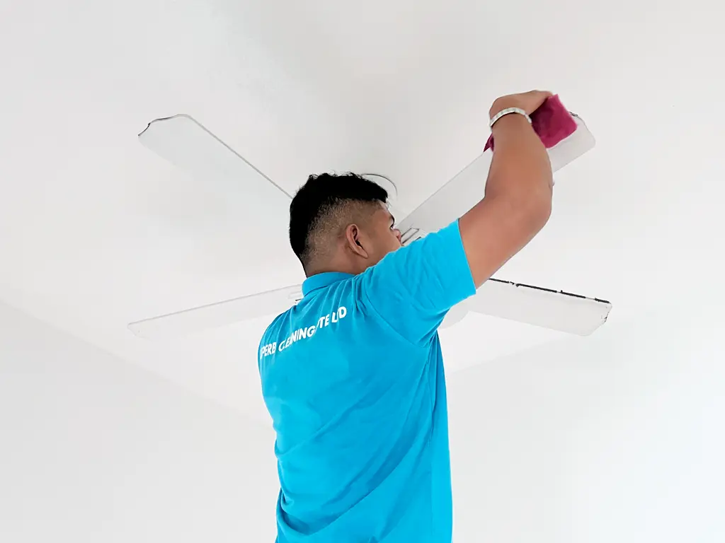 Why Should You Invest in Professional Residential Cleaning Services